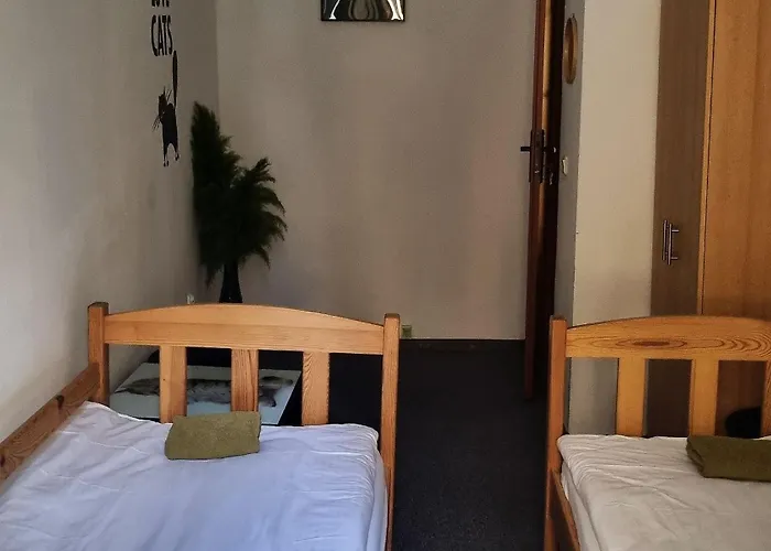 Green Cat Rooms Krakau